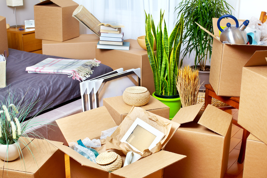 15 Dos and 5 Don'ts of Moving into Your First Apartment