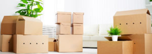 Best Movers With Packing